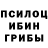 Псилоцибиновые грибы MAGIC MUSHROOMS Jayla Charlese