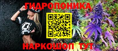 Альфа ПВП Ипатово