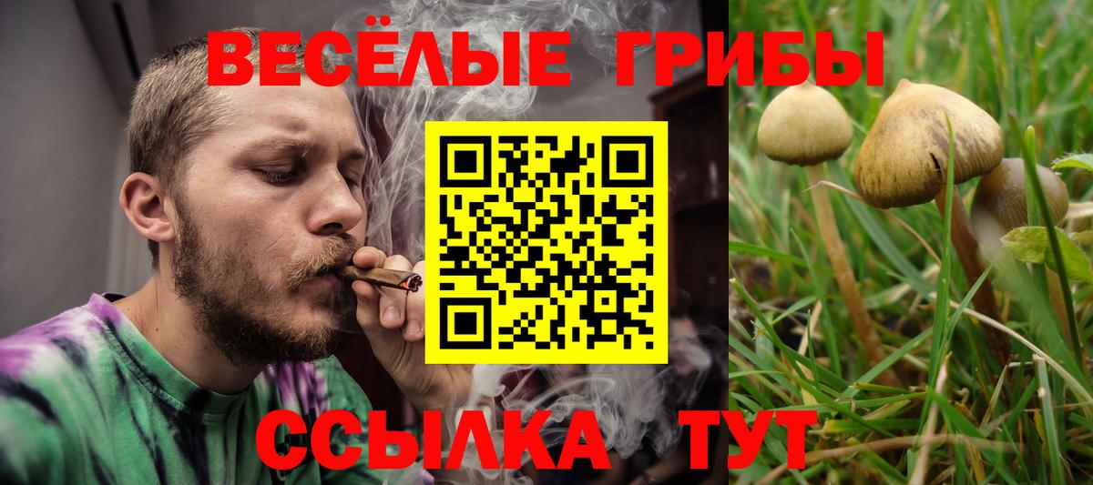 как найти закладки  Галлюциногенные грибы Psilocybe  Вход с VPN  Первоуральск 